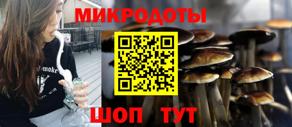 Псилоцибиновые грибы Psilocybe Екатеринбург